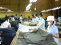 Garment and textile industry increases market shares